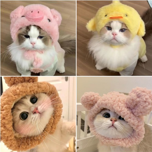 Cappello cane gatto animale