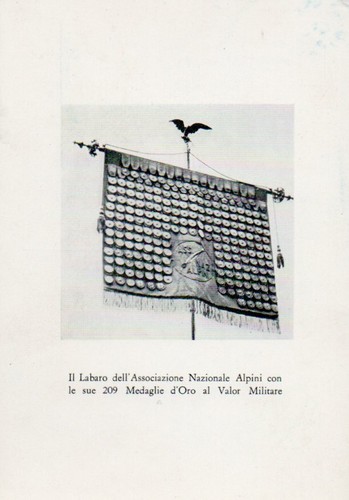 Alpini labaro con - -,