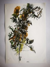 Litografia due rose - due, renato