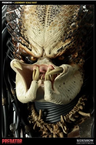 Sideshow predator - predator,