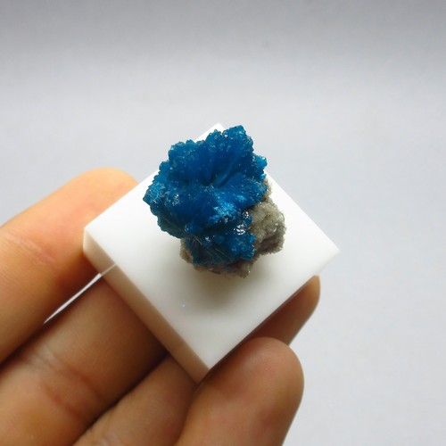 Cavansite matrice pietra - su, (pietra