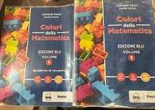 COLORI DELLA MATEMATICA EDIZIONE BLU VOL. 1 (IN 2 TOMI) -  L. SASSO - PETRINI