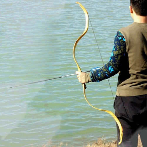 Tiro con arco - tiro, resina