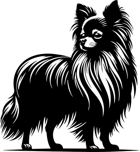 Adesivo chihuahua - adesivo,