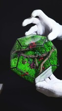 Terrario in Vetro Trasparente