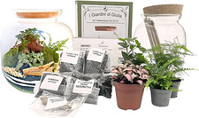 Kit Terrarium Fai-da-Te 'I