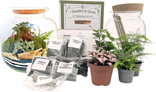 Kit terrarium fai - kit,