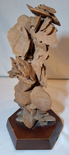 Rosa del deserto pietra - rosa,