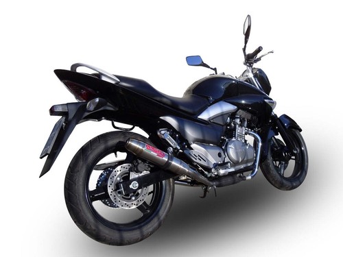 Suzuki 250 inazuma - gw,