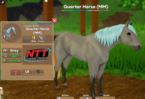Wild horse islands quarto - wild,