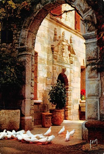 Colombe bianche di - bianche,