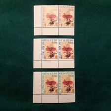 VATICANO 2005 -  SEDE  VACANTE