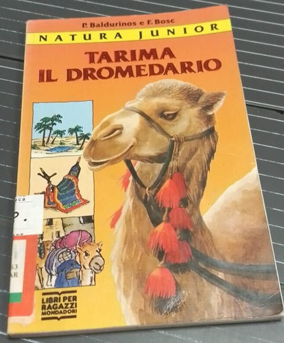 Tarima dromedario - tarima,
