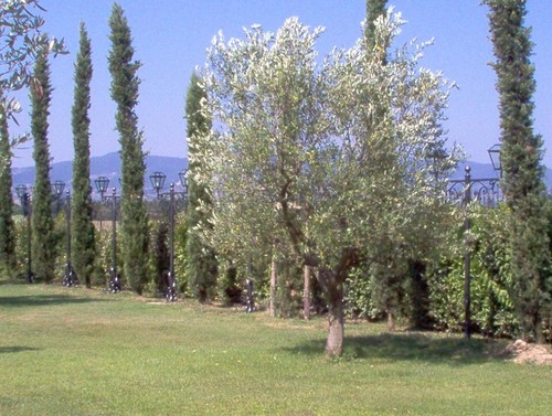Lampione lanterna acciaio - lampione, inox