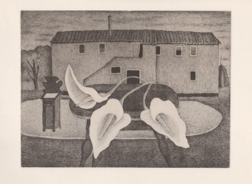 Giuseppe viviani calle - -,