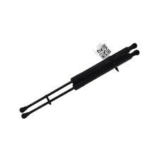 Coppia Pistoni Portellone