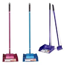 Grande Animale Domestico