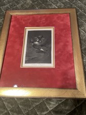 "Bon Voyage" "Buen Viage" da "Los Caprichos" piatto 64(terzo colpo) incorniciato