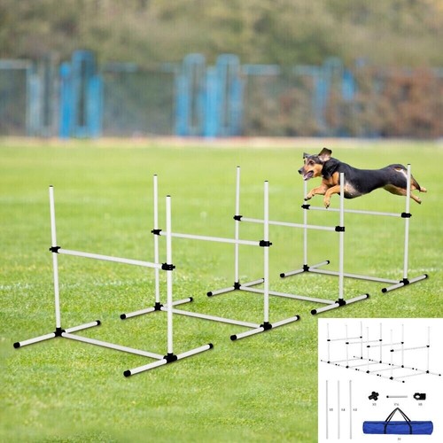 Pack adjustable dog agility - 4,