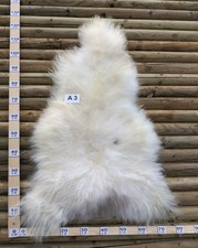 Vera pelle di pecora XL 2