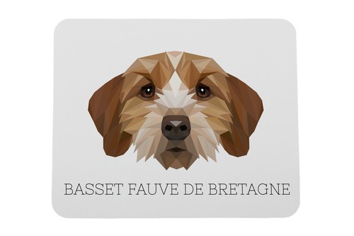 Basset fauve bretagne - fauve, de