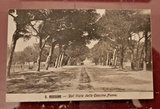 cartolina san rossore pisa dal