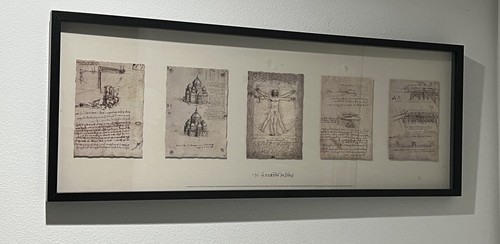 Leonardo vinci framed - leonardo,