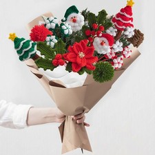 Coppia di fiori natalizi in