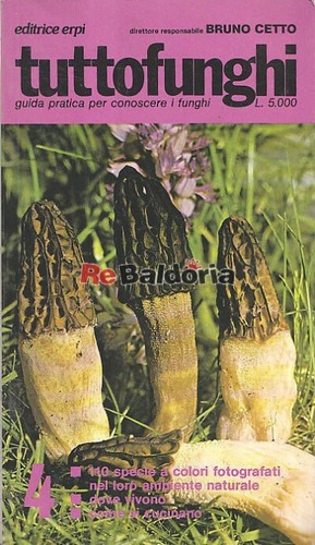 Tuttofunghi editrice erpi - tuttofunghi,