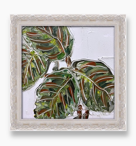 Pittura pianta maranta - pittura, di