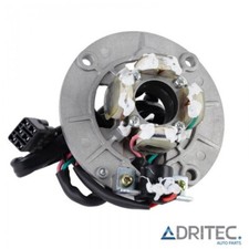 ✅ STATORE ALTERNATORE per