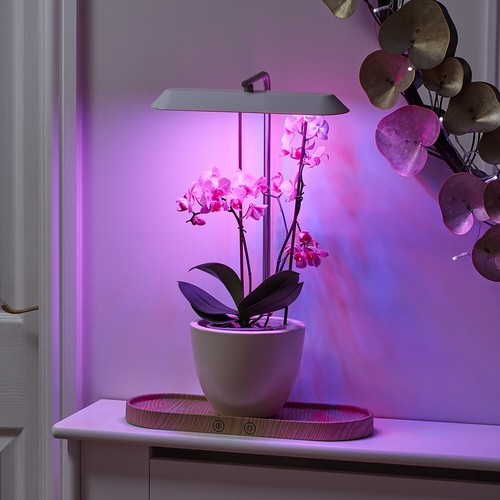 Lampada auraglow usb led - auraglow,