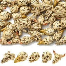 Decorazione espositore teschio