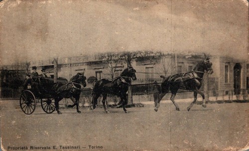 Torino calesse cavalli - calesse,