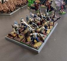 Warhammer  Vampire Counts - Zombie Regiment  20units