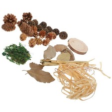  Fotografia Accessori Oggetti