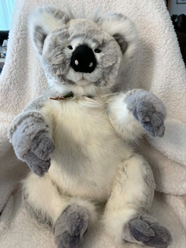 Glen charlie bears - charlie, orso