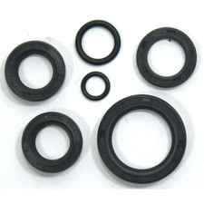 Serie paraolio motore per Moto GUZZI Dingo Cross