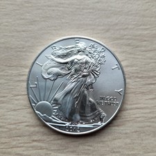 USA 1 dollaro 1 oncia Moneta