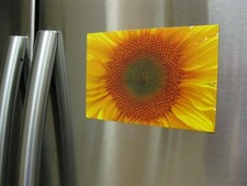 MAGNETE FRIGO 4"x6" GIRASOLE