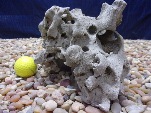 Texas holey rock - texas/tn,