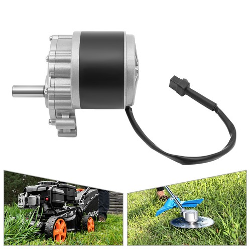 electric bike motor