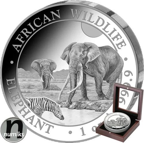 Elefante 2026 somalia 1 - 2026,