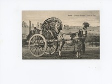 Roma - Costume romano - Carro di vino -CE354