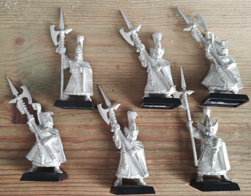 High elf phoenix - phoenix, alti
