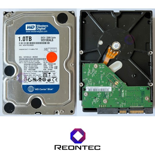 Western digital caviar blue - caviar,
