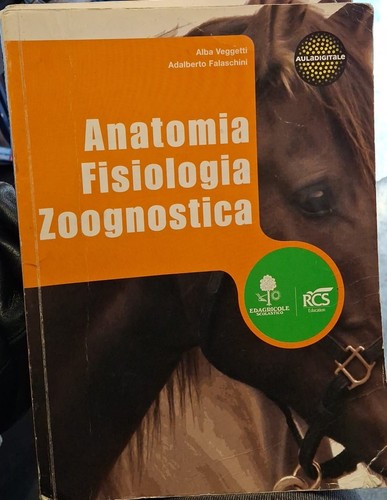 Anatomia fisiologia