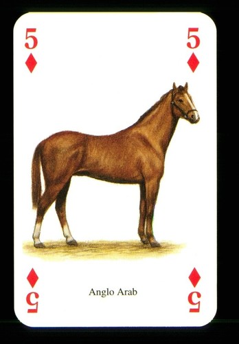 Playing card anglo arab - 1,