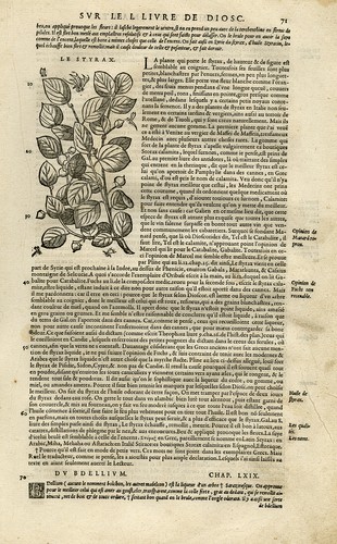Stampa