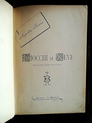 Brocca fiocchi di neve - fiocchi,